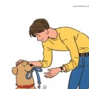 김쌤애견 이미지