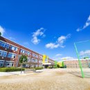 금성초등학교 병설유치원 이미지