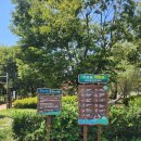 우포늪 | 창녕 여행 우포늪 체험장 전시관 방문 후기 - 임시휴관 여름 풍경