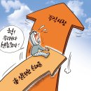 1123 한국보험신문
