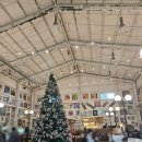 카페노랑 | 횡성맛집 애견동반 가능한 대형카페 노랑공장 내돈내산 소형견 브런치메뉴 솔직 후기