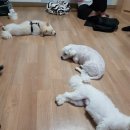 판포보름 이미지