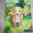 [영어도서관] 여름방학 영어캠프 B반 | 치앙마이 영어캠프 (feat 내돈내산 후기)