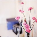 Flower Dance - Epic Acoustic ver - DJ Okawari 이미지