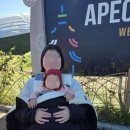 보덕동행정복지센터 | APEC 기간 경주 찾은 아기 엄마 도운 보덕동행정복지센터 &#34;작은 배려가 큰 감동으로”