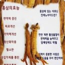 홍삼의 효능 효과