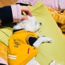 주라울