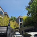 경리단길 카페 레인리포트 스윗라임 에스프레소