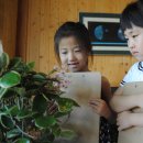 몬테소리유치원 이미지