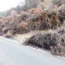 동삼마을회관 이미지