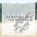 연세봄치과의원 이미지