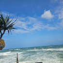 뉴비치모텔 이미지