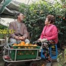 할머니농장 이미지