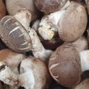 박준호농장 이미지