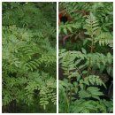 남원용담골추어탕 | 남원 추어탕 맛집 밀키트로 즐기기 내돈내산 솔직후기