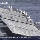 태양부식