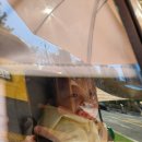 로로샌드(low raw) 이미지