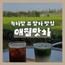 동다원 | 제주 애월 카페 '애월맛차', 넓은 녹차밭 뷰 진한 말차라떼 내돈내산 후기