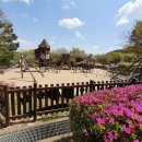 원산리약수터 이미지