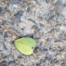 물동산식당