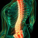 한림한의원 이미지