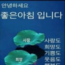 산채랑 이미지