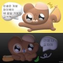 팔로마패션