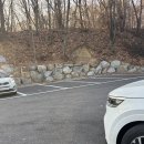 숲을 그리다 이미지