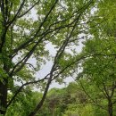 삶에 자연을 채우다 이미지