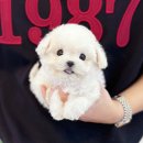 동두천-045 이미지