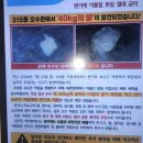 아파트 오수관이 막혔던 이유 이미지