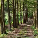 원주굽이길 14코스 흥업캠퍼스낭만길 이미지