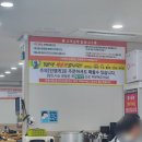 조림명가구룡포점 | 포항 조림명가 구룡포 맛집 방문했어요