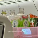 092 | 일본항공) 김포->하네다 JL092편 체크인 방법, 기내식 내돈내산 솔직후기✈️