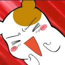연이자카야 이미지