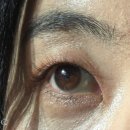 눈이편한안경콘택트 이미지