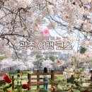 광주천변좌로자전거도로 | 광주 여행 코스 벚꽃 스팟 카페 이색 체험 숙소 추천