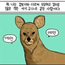 주원부동산중개 | [직방이벤트] &#39;직방&#39;으로 집구하기 Review!