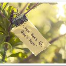 피노키오의 생각 이미지