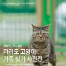 서호동-37 이미지