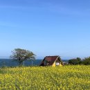 다혜건어물과일 | 캠핑은 끝없는 먹부림의 연속🐷🏕️•캠핑음식 그 한계는 어디인가👨🏻‍🍳(구룡포 사계오토캠핑장•구룡포시장)