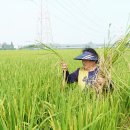 송정농기계 이미지