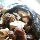 명품간식 이미지