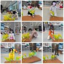 단국대스타태권도 이미지