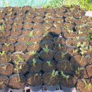 성정농장 이미지