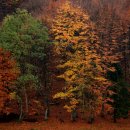 성북동-909 이미지