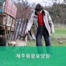 제주시요양원,애월읍요양원 제주원광요양원 위치 및 예약 정보 확인하세요