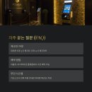 샤인무인텔 이미지