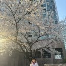 희망찬태권도장 이미지