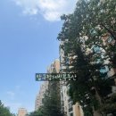 압구정-111 이미지